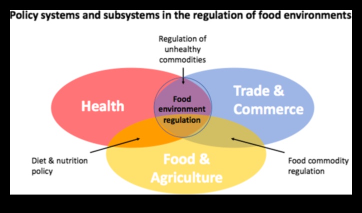Nutriția peste granițe O perspectivă globală asupra sănătății publice 3 Nutriția peste granițe: perspective globale asupra sănătății publice