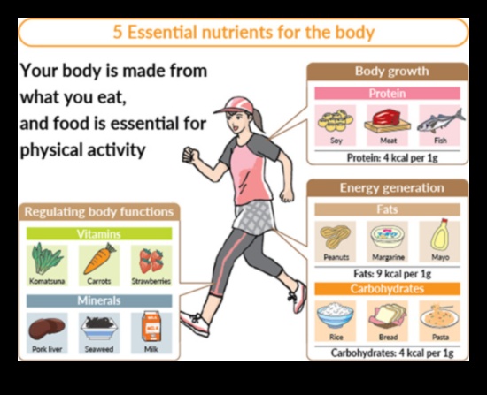 5 nutrienți esențiali pentru a vă aprinde stilul de viață activ 4 Nutrienți esențiali pentru o viață activă: Aprindeți-vă stilul de viață