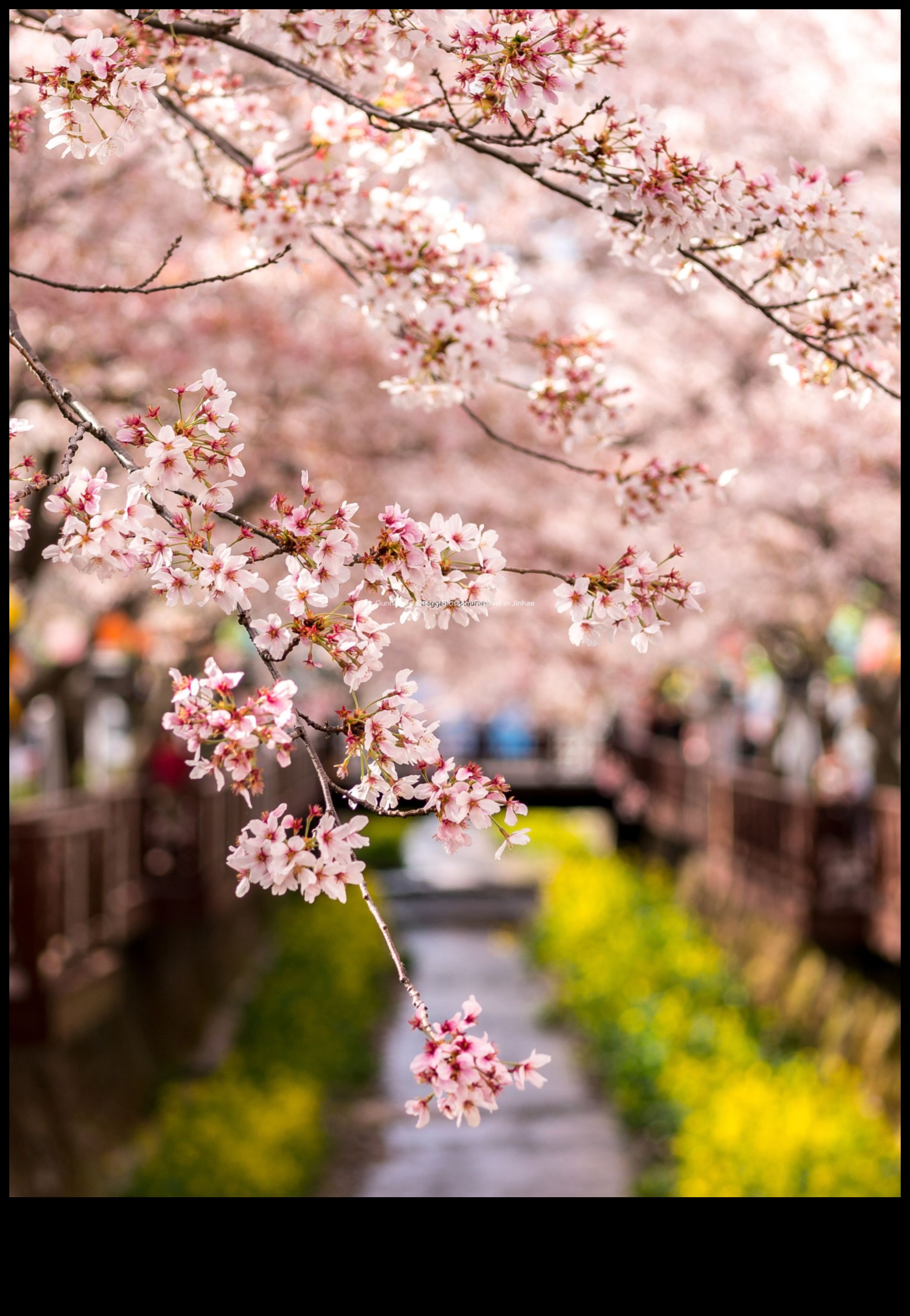 Hub-uri interactive unde relațiile înfloresc 5 Hub-uri interactive: cultivarea relațiilor în domeniul social