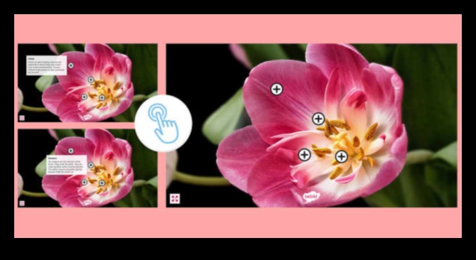 Hub-uri interactive unde relațiile înfloresc 3 Hub-uri interactive: cultivarea relațiilor în domeniul social