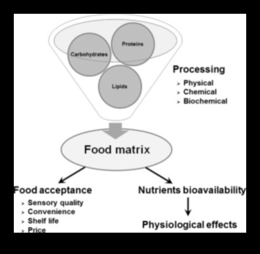 Matricea nutrienților: construirea unui corp și a unei minți sănătoase