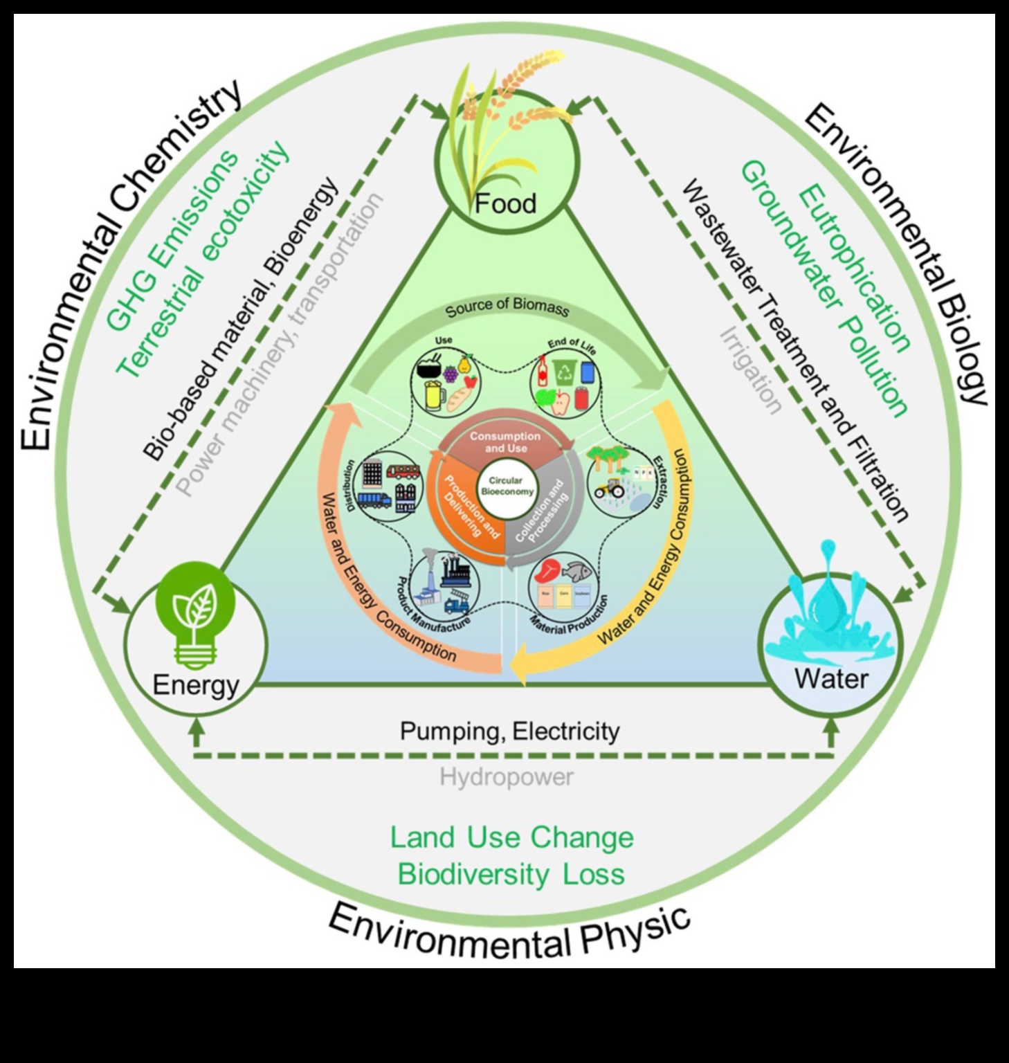 Nutrient Nexus: Conectarea punctelor la o sănătate optimă