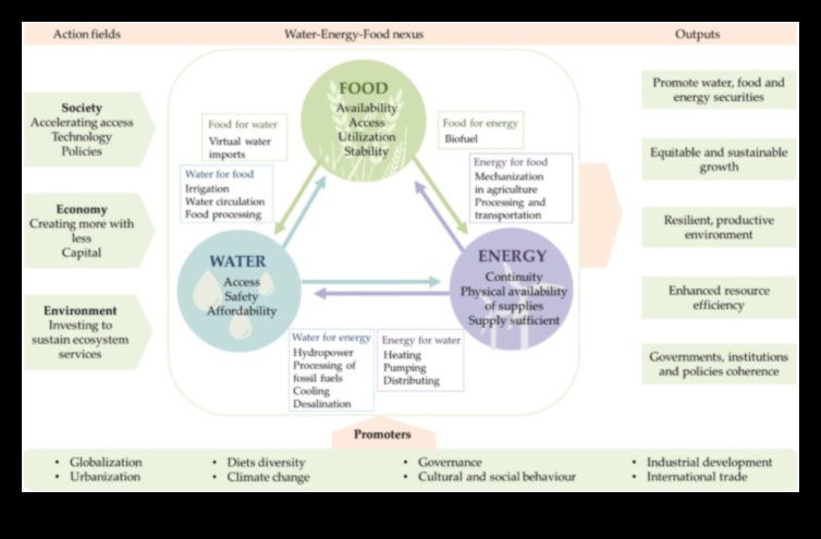 Nutrient Nexus: Conectarea punctelor la o sănătate optimă