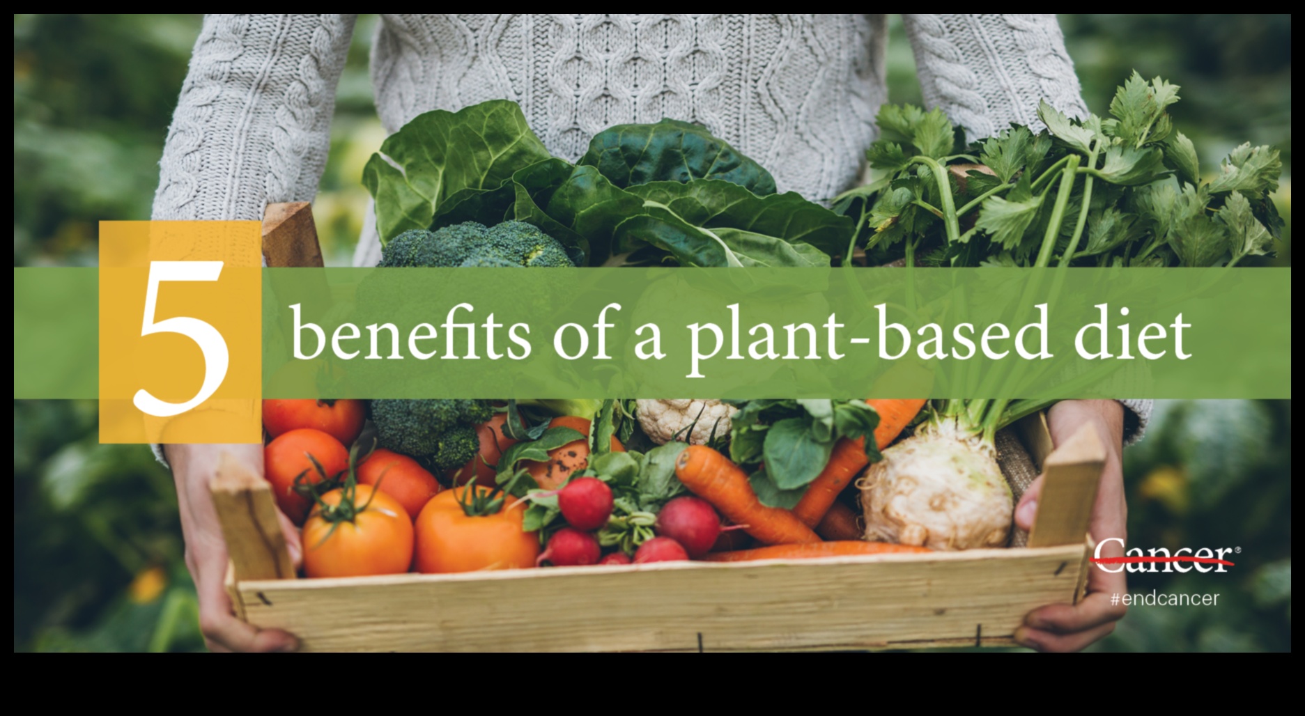 Beneficiile unei diete pe bază de plante 5 Minuni vegane: Descoperirea bogăției vieții bazate pe plante