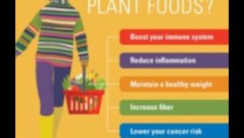 Beneficiile unei diete pe bază de plante 6 Minuni vegane: Descoperirea bogăției vieții bazate pe plante