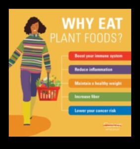 Minuni vegane: Descoperirea bogăției vieții bazate pe plante