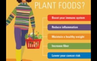 Minuni vegane: Descoperirea bogăției vieții bazate pe plante