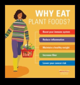 Beneficiile unei diete pe bază de plante 1 Minuni vegane: Descoperirea bogăției vieții bazate pe plante