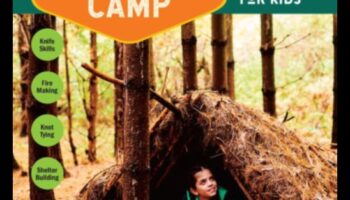 Aventurile Facebook: Navigarea în sălbăticia campaniilor