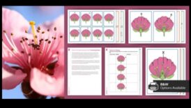 Hub-uri interactive: cultivarea relațiilor în domeniul social