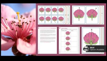 Hub-uri interactive: cultivarea relațiilor în domeniul social