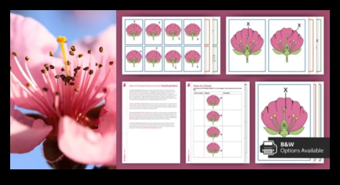 Hub-uri interactive unde relațiile înfloresc 2 Hub-uri interactive: cultivarea relațiilor în domeniul social