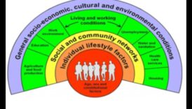 Împuternicirea vieților: Nutriție de sănătate publică pentru comunități durabile