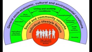 Împuternicirea vieților: Nutriție de sănătate publică pentru comunități durabile