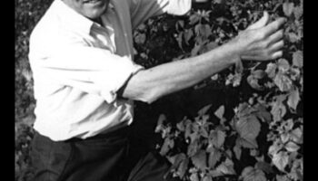 Veganismul și importanța alimentelor integrale