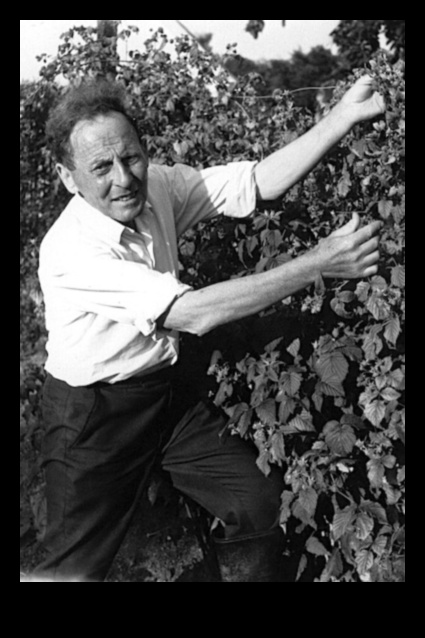 Veganismul și importanța alimentelor integrale