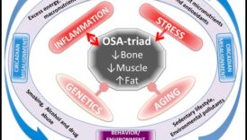 Musetel nutrienților O abordare echilibrată a unui trup și suvenir sănătoase 6 Matricea nutrienților: construirea unui corp și a unei minți sănătoase