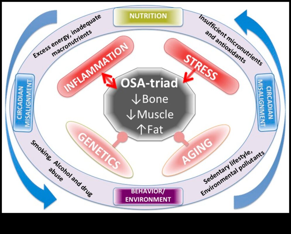 Matricea nutrienților: construirea unui corp și a unei minți sănătoase