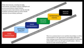 Nutriția peste granițe: perspective globale asupra sănătății publice