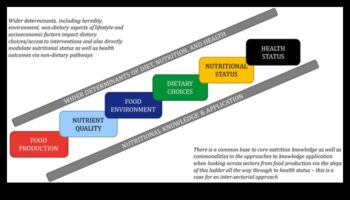 Nutriția peste granițe: perspective globale asupra sănătății publice