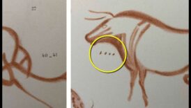 Ghicitori de artă rupestre: decodificarea simbolurilor în petroglifele preistorice