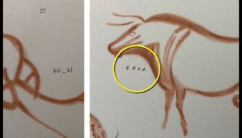 Ghicitori de artă rupestre: decodificarea simbolurilor în petroglifele preistorice