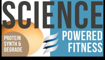 Puzzle-ul proteinelor: deblocarea creșterii musculare în nutriția sportivă