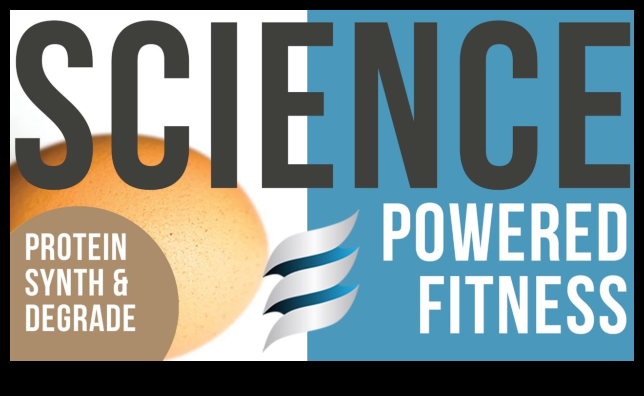 Puzzle-ul proteinelor Cum să deblochezi creșterea musculară cu o nutriție potrivită 1 Puzzle-ul proteinelor: deblocarea creșterii musculare în nutriția sportivă