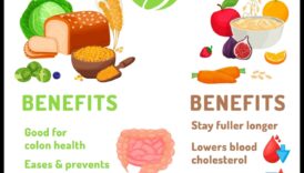 Veganism, fibre și sănătate digestivă 2 Veganismul și aportul de fibre: promovarea sănătății digestive