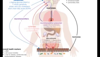 Vegetarianismul și echilibrul hormonal: perspective și sfaturi